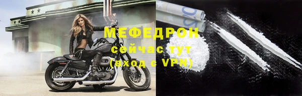индика Краснослободск