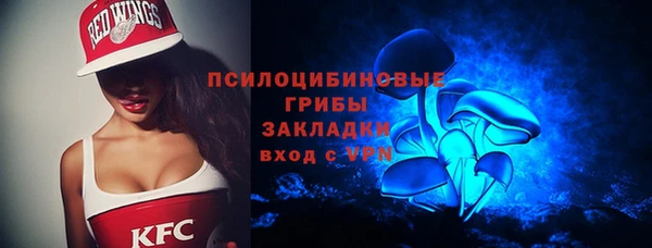 индика Краснослободск