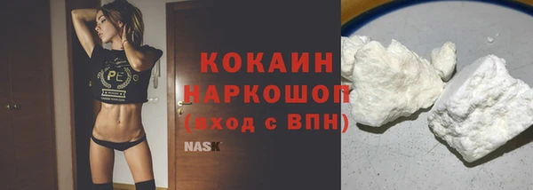 индика Краснослободск