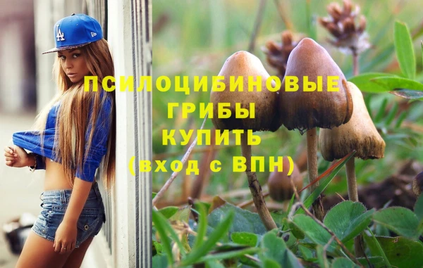индика Краснослободск