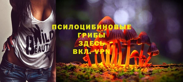 индика Краснослободск