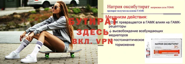 индика Краснослободск