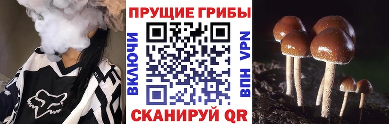 Псилоцибиновые грибы ЛСД Лесозаводск