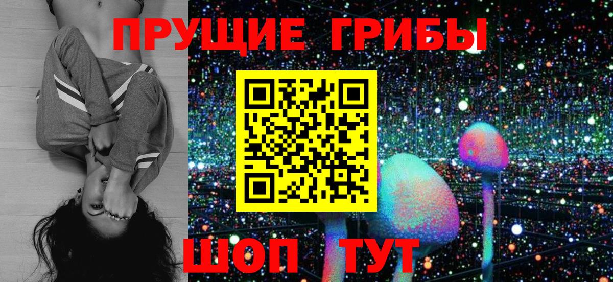 Лесозаводск  Галлюциногенные грибы Psilocybe  Псилоцибиновые грибы мухоморы  Вход с VPN 