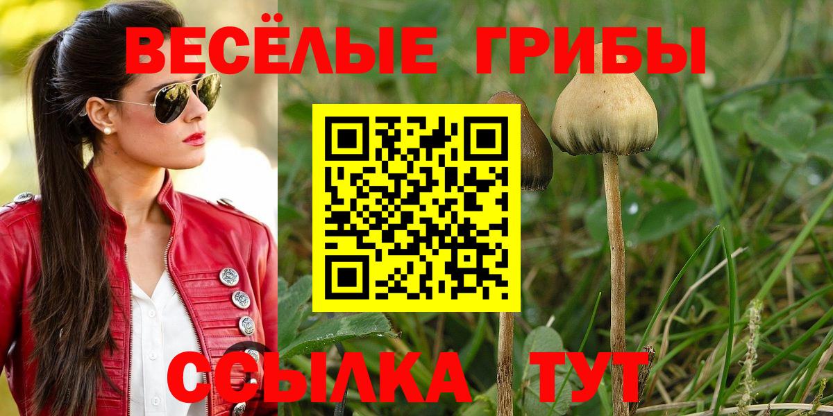 Галлюциногенные грибы прущие грибы Лесозаводск